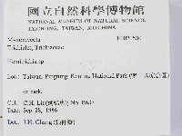 登錄號:F0021530藏品圖，第2張