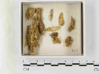 登錄號:F0021530藏品圖，第1張