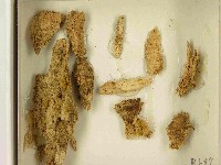 登錄號:F0021530藏品圖，第3張