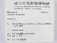 登錄號:F0021532藏品圖，第2張