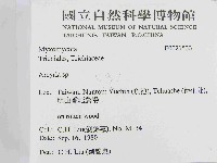 登錄號:F0021533藏品圖，第2張