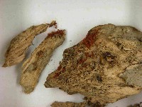登錄號:F0021535藏品圖，第3張