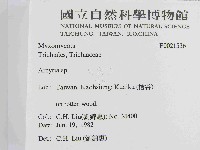 登錄號:F0021536藏品圖，第2張