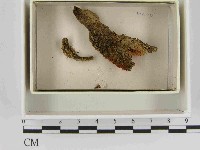 登錄號:F0021536藏品圖，第1張