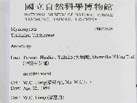 登錄號:F0021538藏品圖，第2張