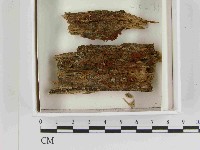登錄號:F0021538藏品圖，第1張