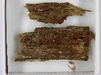 登錄號:F0021538藏品圖，第3張