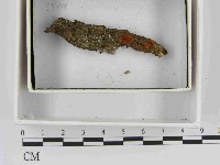 登錄號:F0021540藏品圖，第1張