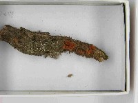 登錄號:F0021540藏品圖，第3張