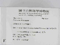 登錄號:F0021542藏品圖，第2張