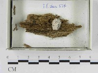 登錄號:F0021543藏品圖，第1張