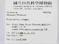 登錄號:F0021546藏品圖，第2張
