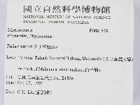 登錄號:F0021548藏品圖，第2張