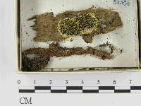 登錄號:F0021548藏品圖，第1張