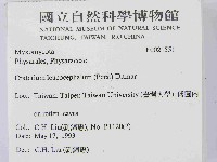 登錄號:F0021551藏品圖，第2張