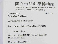登錄號:F0021556藏品圖，第2張