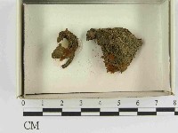 登錄號:F0021556藏品圖，第1張