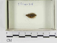 登錄號:F0021557藏品圖，第1張
