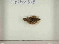 登錄號:F0021557藏品圖，第3張