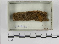 登錄號:F0021560藏品圖，第1張