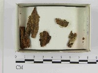 登錄號:F0021561藏品圖，第1張