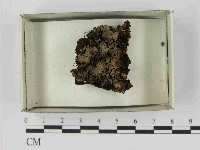 登錄號:F0021562藏品圖，第1張