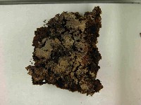 登錄號:F0021562藏品圖，第3張