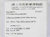 登錄號:F0021563藏品圖，第2張