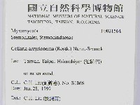 登錄號:F0021564藏品圖，第2張