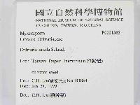 登錄號:F0021565藏品圖，第2張
