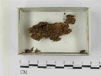 登錄號:F0021565藏品圖，第1張