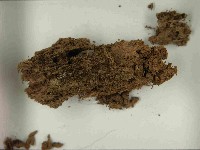 登錄號:F0021565藏品圖，第3張