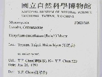 登錄號:F0021566藏品圖，第2張