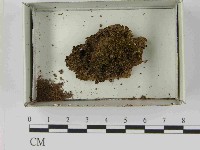 登錄號:F0021566藏品圖，第1張