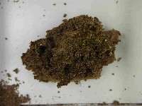 登錄號:F0021566藏品圖，第3張