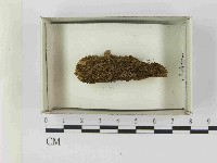 登錄號:F0021567藏品圖，第1張