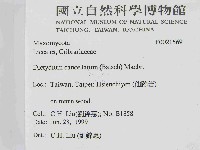 登錄號:F0021569藏品圖，第2張