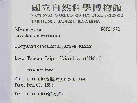 登錄號:F0021572藏品圖，第2張