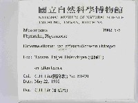 登錄號:F0021575藏品圖，第2張