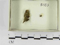 登錄號:F0021576藏品圖，第1張