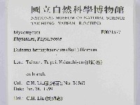 登錄號:F0021577藏品圖，第2張