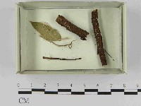 登錄號:F0021577藏品圖，第1張