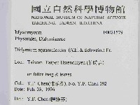 登錄號:F0021579藏品圖，第2張