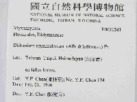 登錄號:F0021581藏品圖，第2張