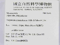 登錄號:F0021582藏品圖，第2張