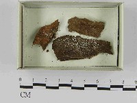 登錄號:F0021582藏品圖，第1張