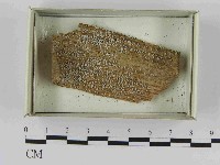 登錄號:F0021583藏品圖，第1張