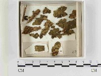 登錄號:F0021585藏品圖，第1張