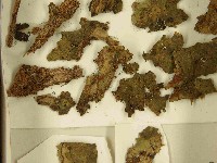 登錄號:F0021585藏品圖，第3張