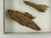 登錄號:F0021586藏品圖，第3張